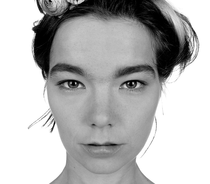 Bjork 1
